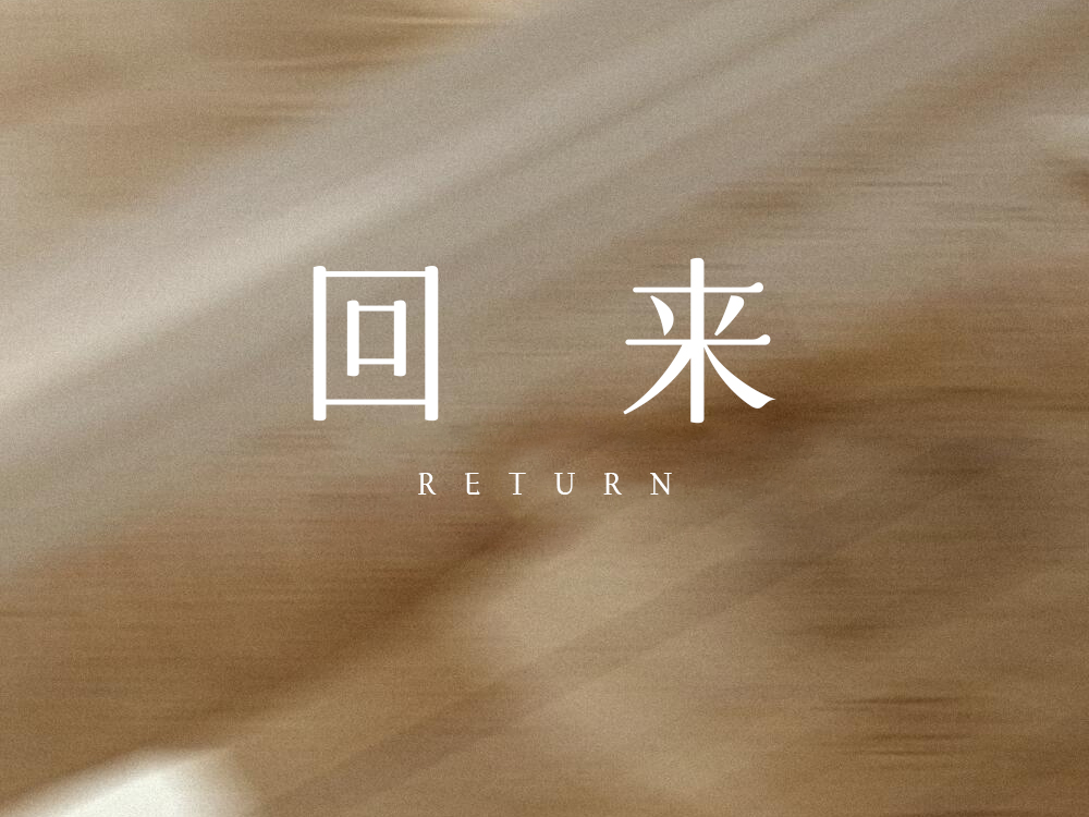 回来